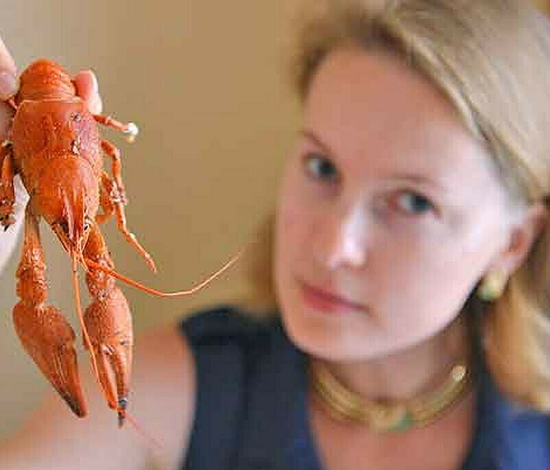 Алиса 25 лет.